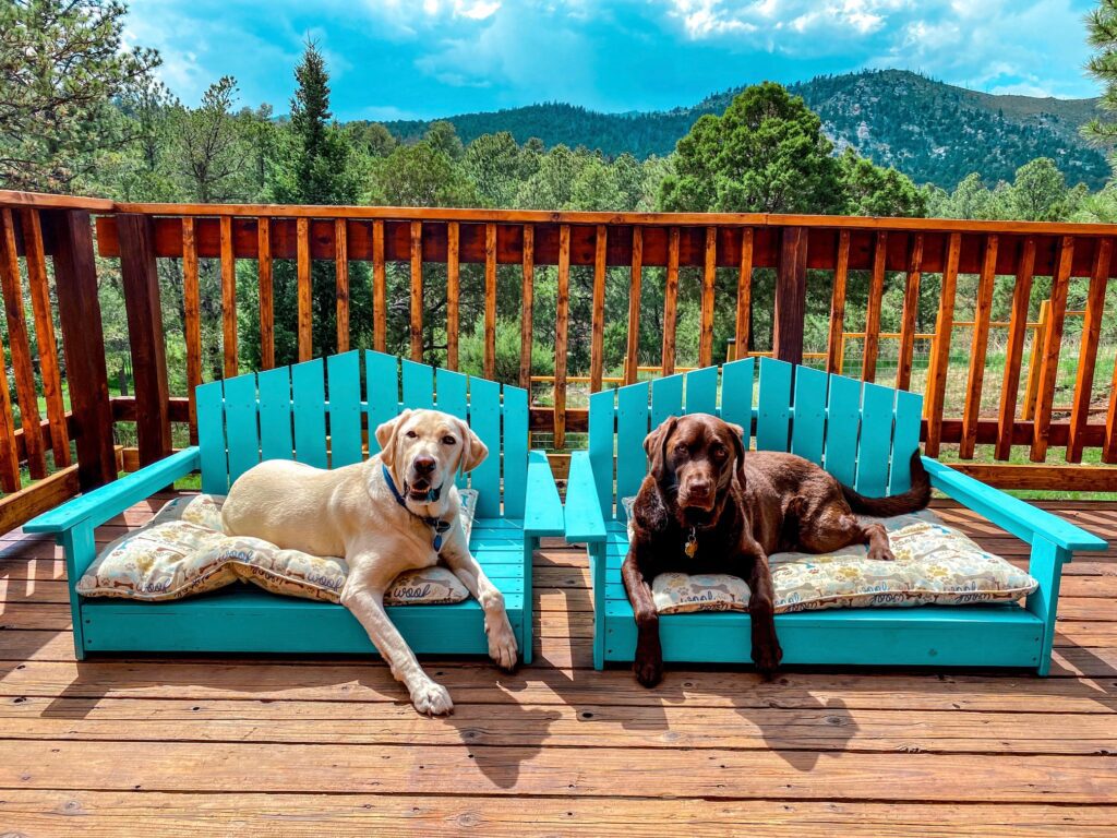 Dog Friendly Cabin Ruidoso