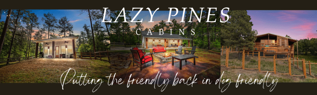 Lazy Pines Cabins